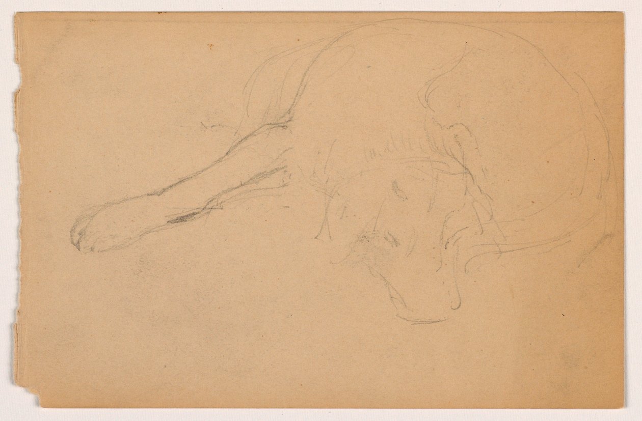 Miol (ein Pointer) von Daniel Huntington