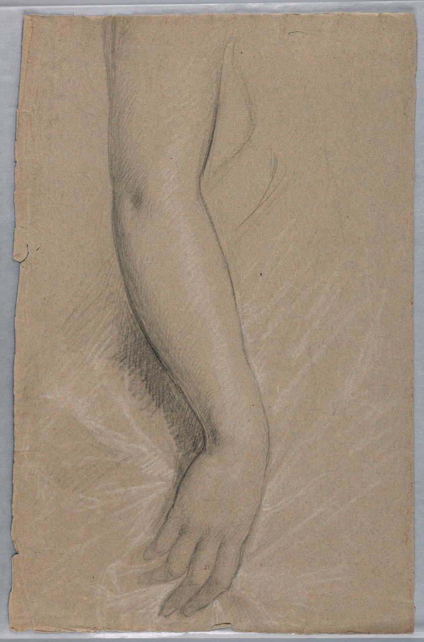 Zeichnung, Frau Rutherford B Hayes, 1880 von Daniel Huntington