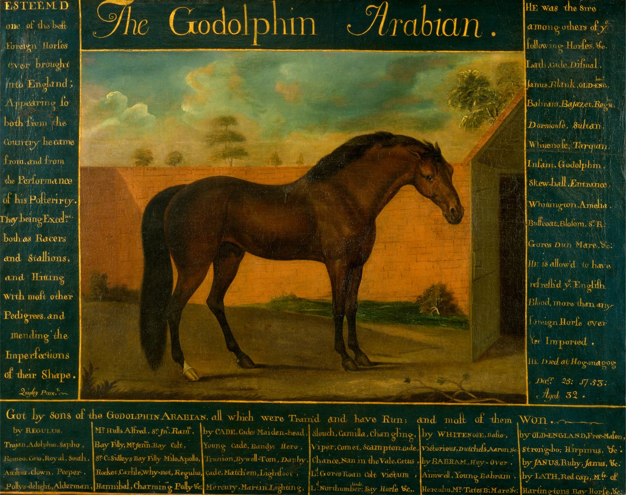 Der Godolphin-Araber von Daniel Quigley