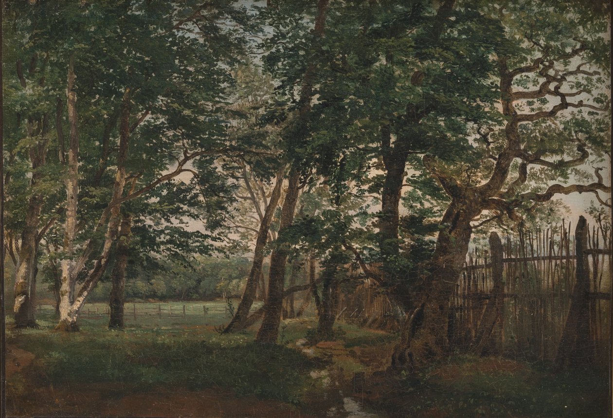Der Hirschpark nördlich von Kopenhagen von Dankvart Dreyer