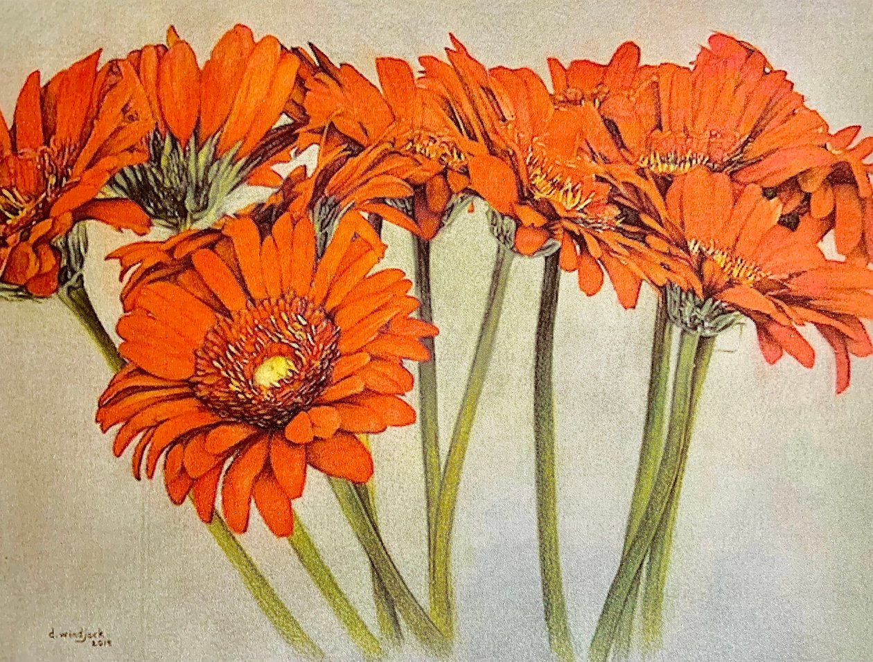 Orange Burst, 2019 von Darrell Windjack