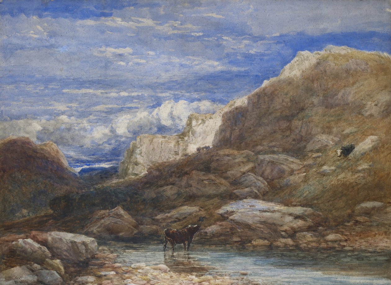 Die Herausforderung von David Cox