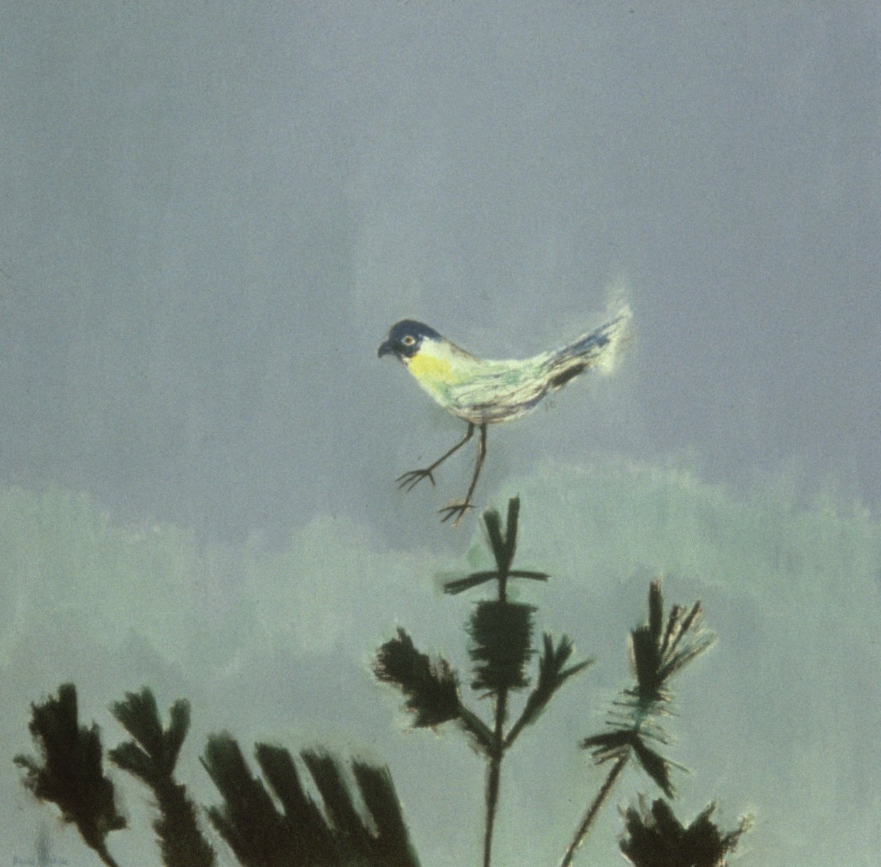 Seltsamer Vogel landet von David Alan Redpath Michie