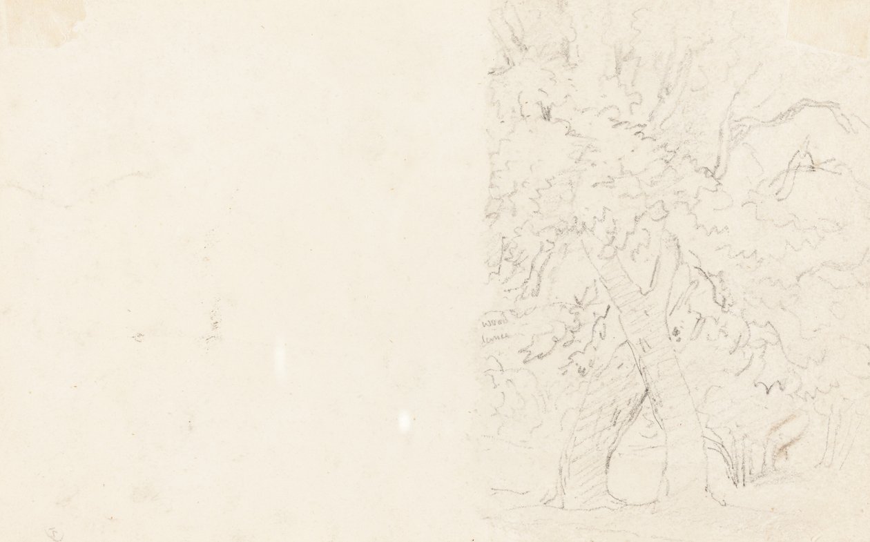 Bäume (verso) von David Cox