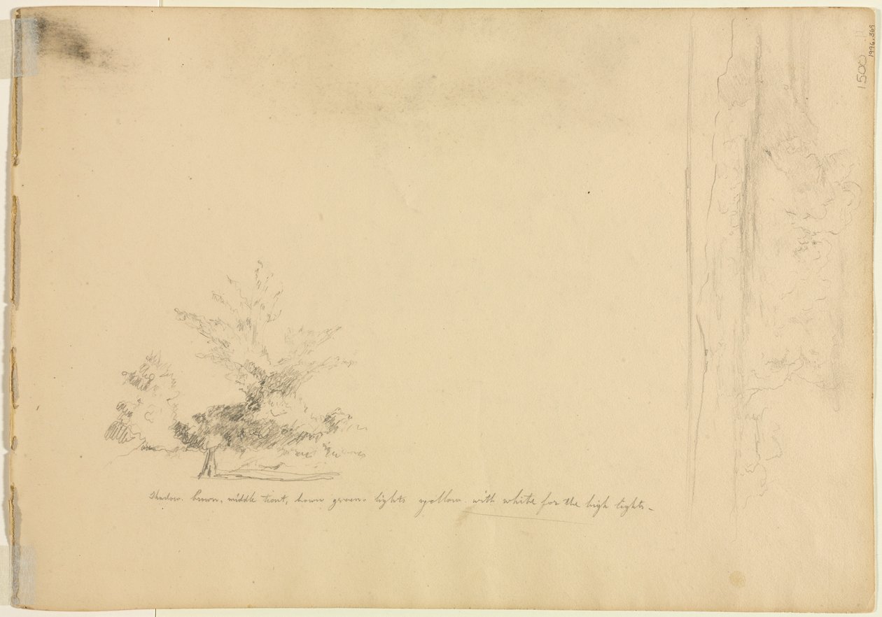 Landschafts- und Baumstudien verso von David Johnson