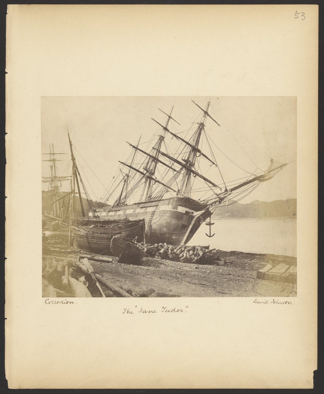 Die "Jane Tudor" von David Johnson