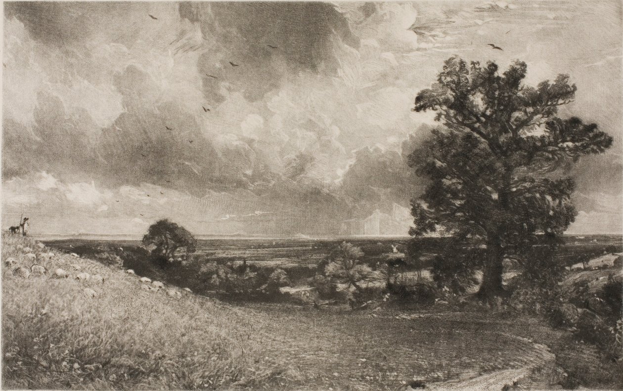 Mittag von David Lucas
