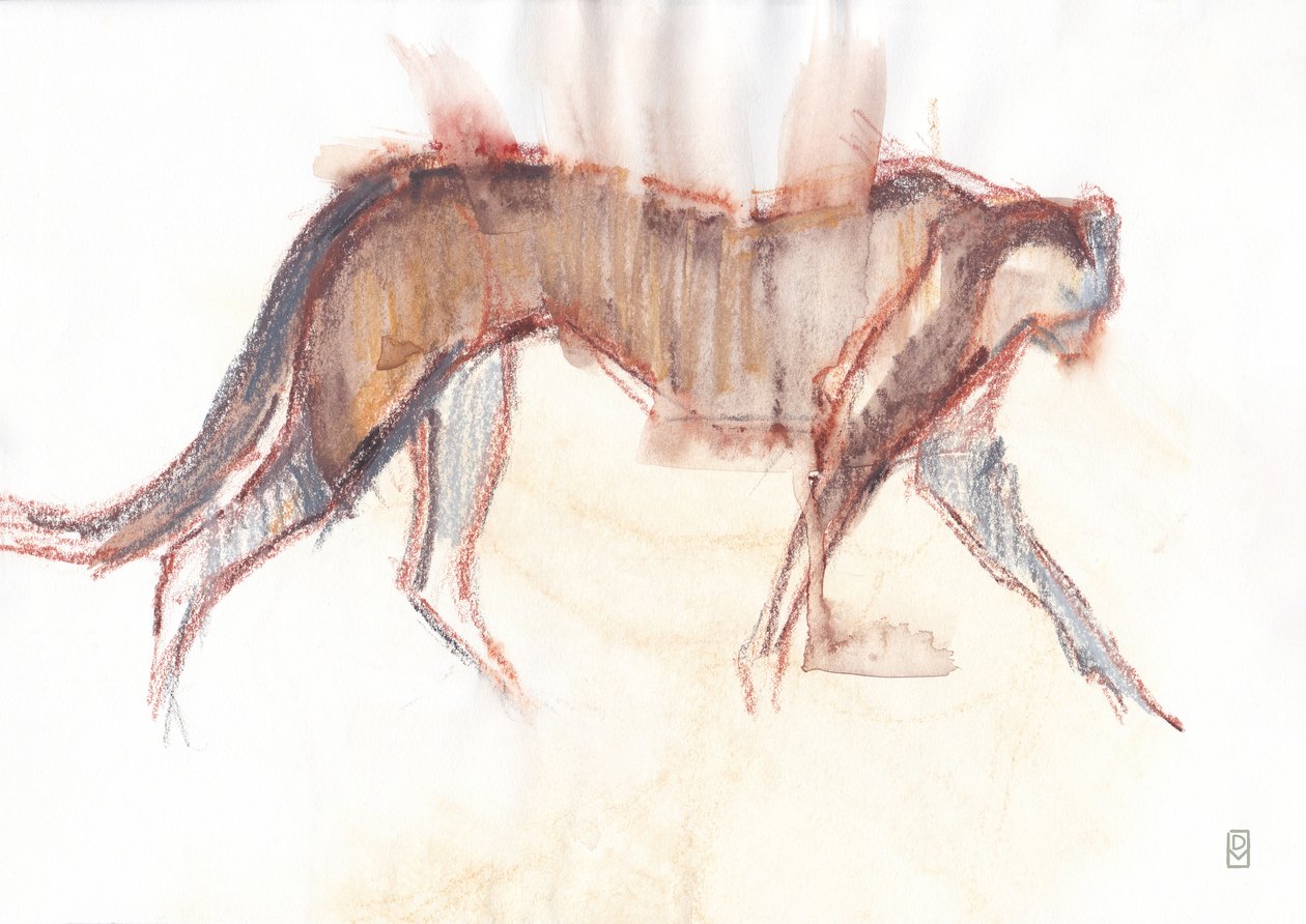 Gepardenjagd, 2019 von David Mayer