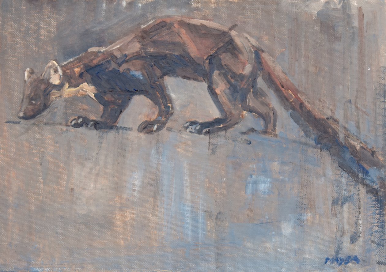 Baummarder, 2023 von David Mayer