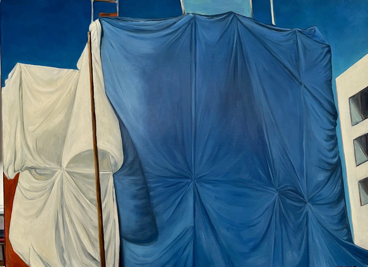 Verhüllt auf der Fifth von Deborah Stevenson