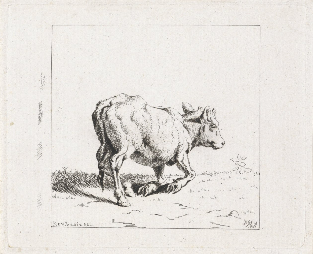 Sich aufrichtendes Kalb von Diederik Jan Singendonck