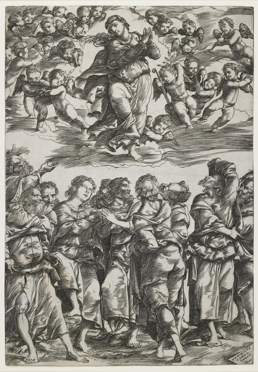 Mariä Himmelfahrt von Domenico Campagnola