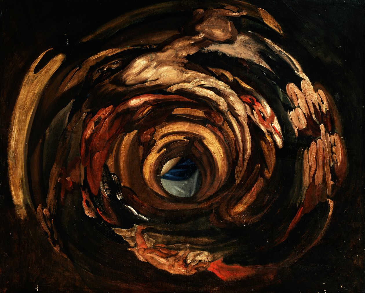 Anamorphose von Rubens von Domenico the Elder Piola