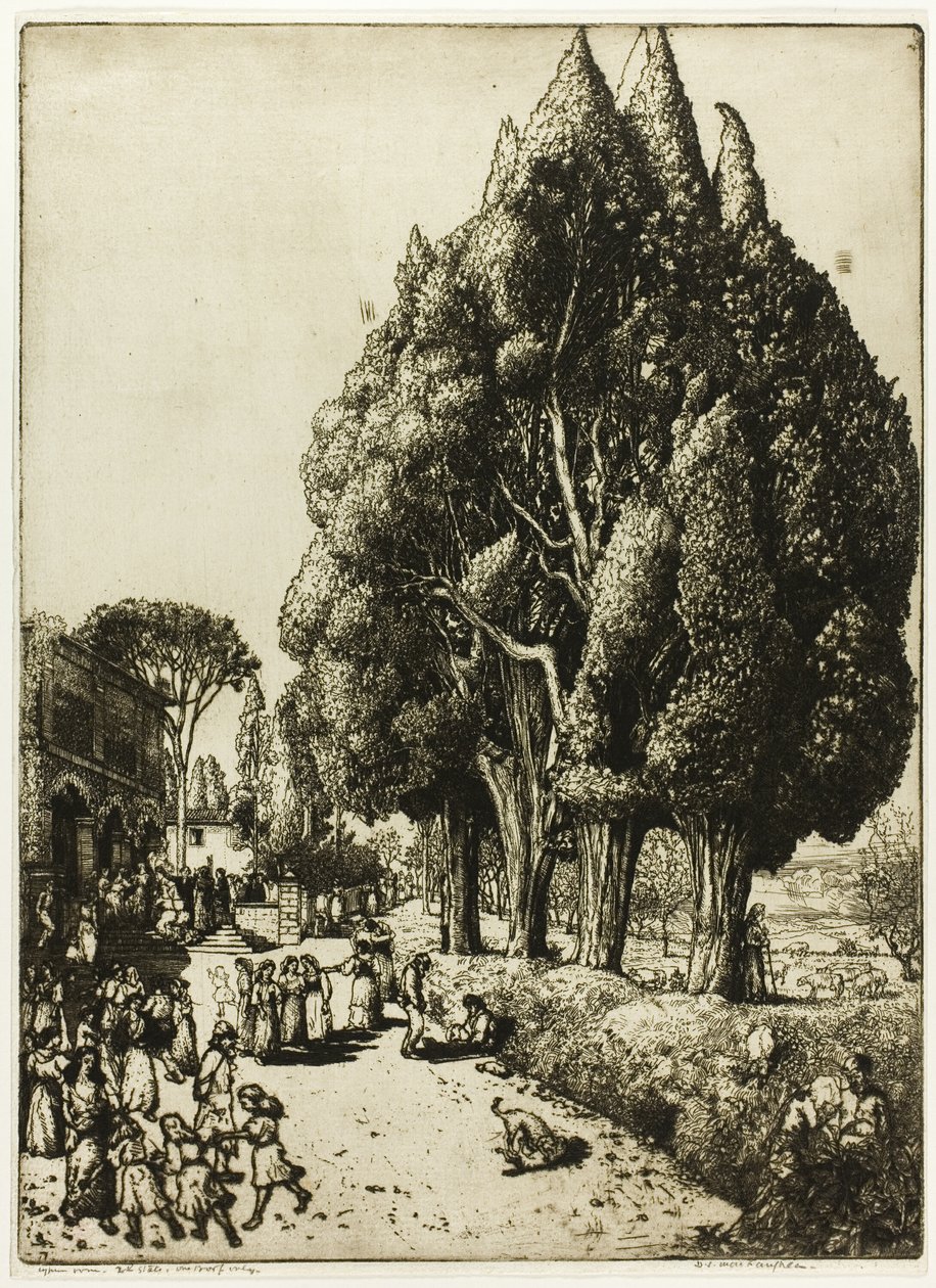 Zypressenhain von Donald Shaw MacLaughlan