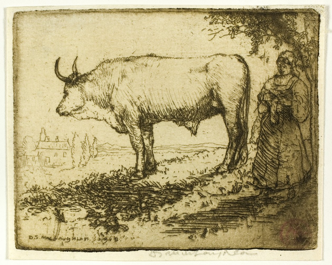 Der weiße Ochse von Donald Shaw MacLaughlan