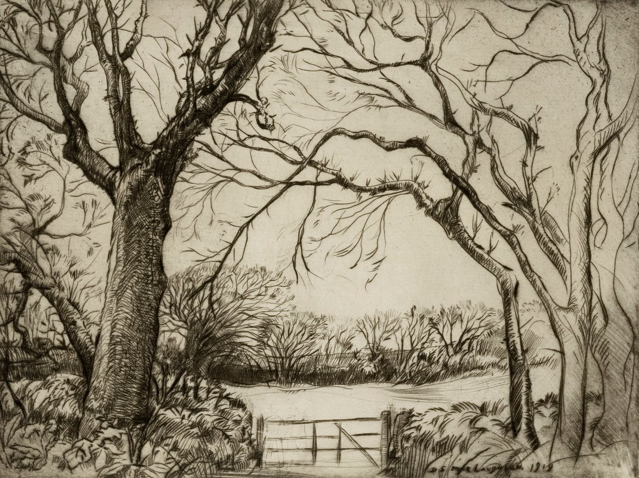 Tragenna Wald von Donald Shaw MacLaughlan
