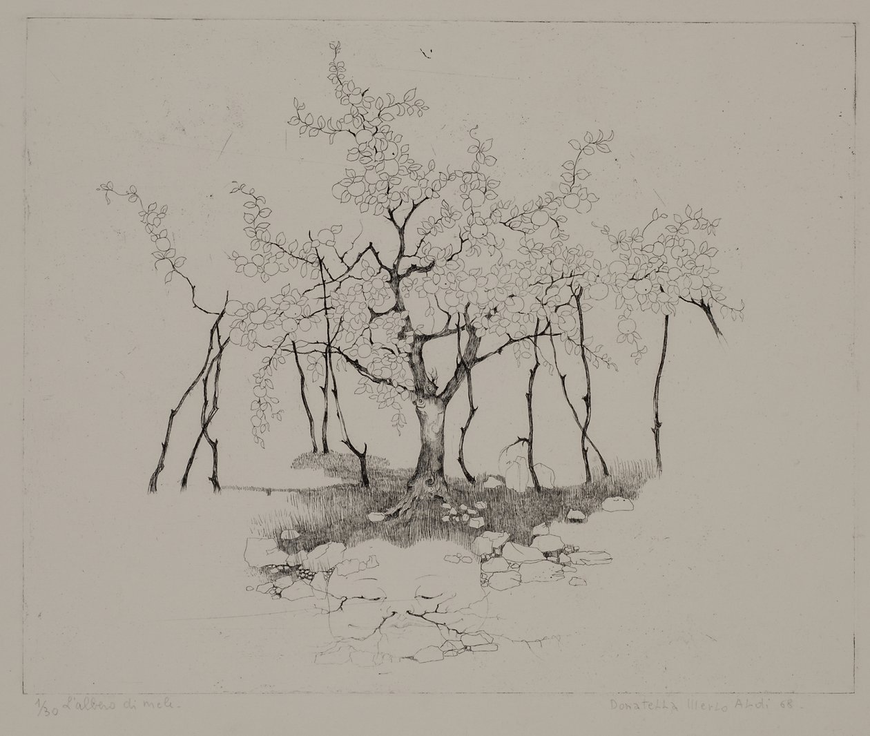 Der Apfelbaum von Donatella Merlo