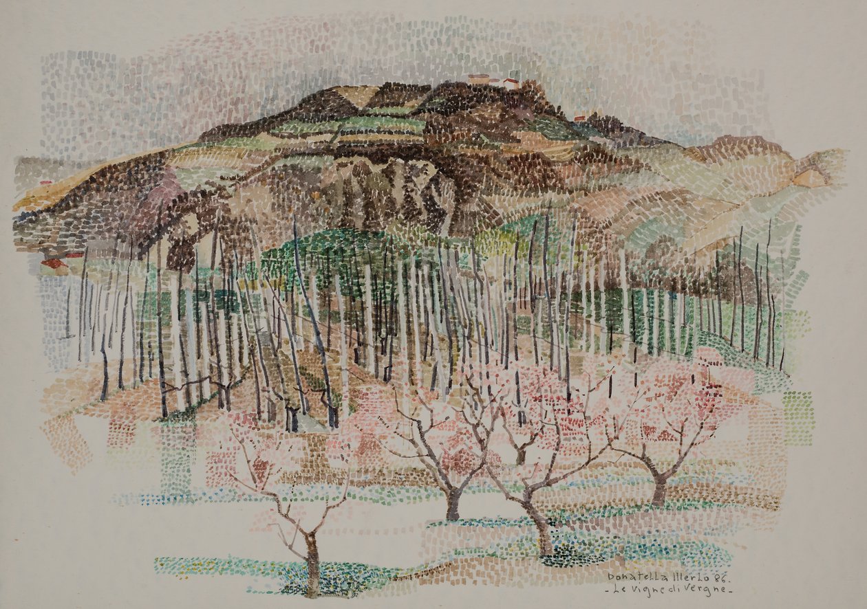 Der Weinberg von Vergne von Donatella Merlo