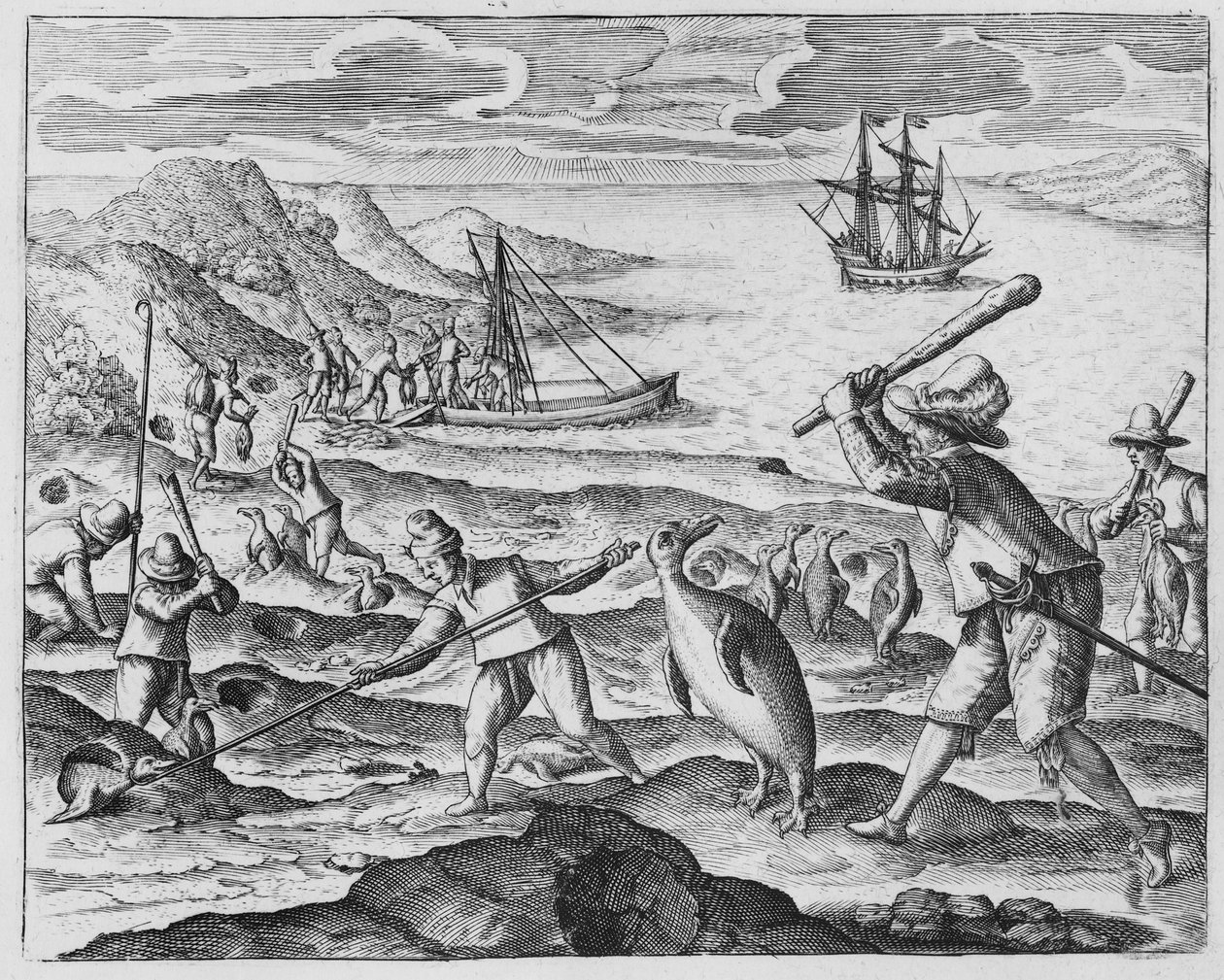 Pinguinjagd, 1598 von Dutch School