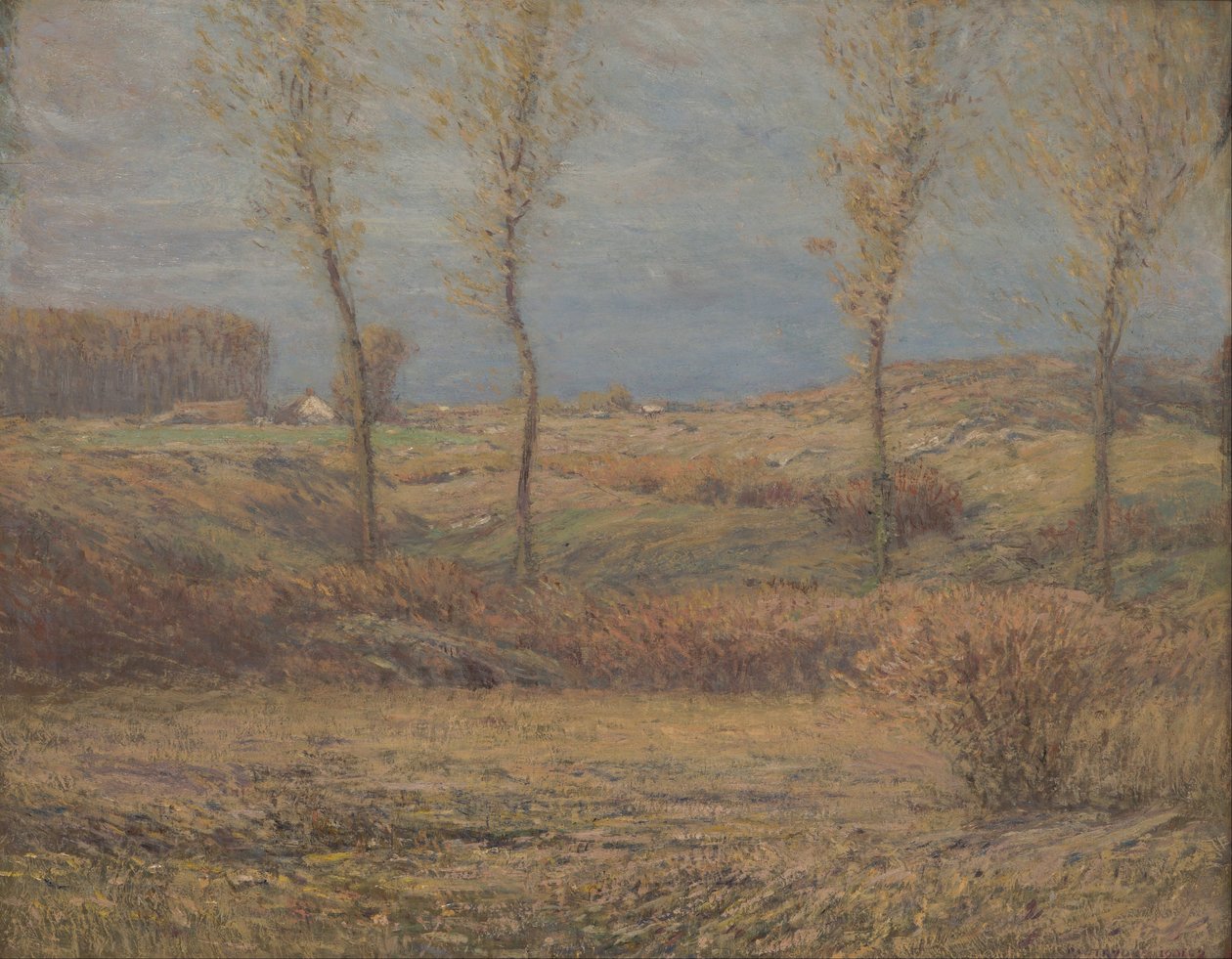 Novembermorgen von Dwight William Tryon