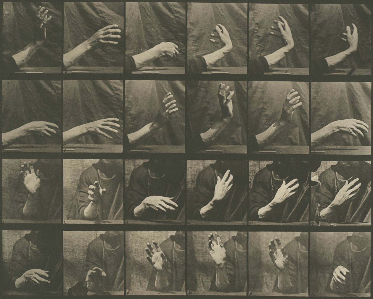 Tierbewegung, Tafel 535 von Eadweard Muybridge