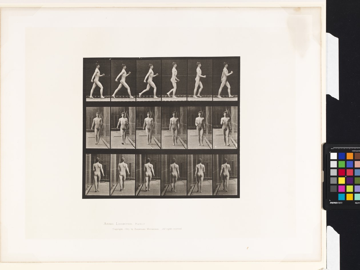 Tafel 10. Gehen von Eadweard Muybridge