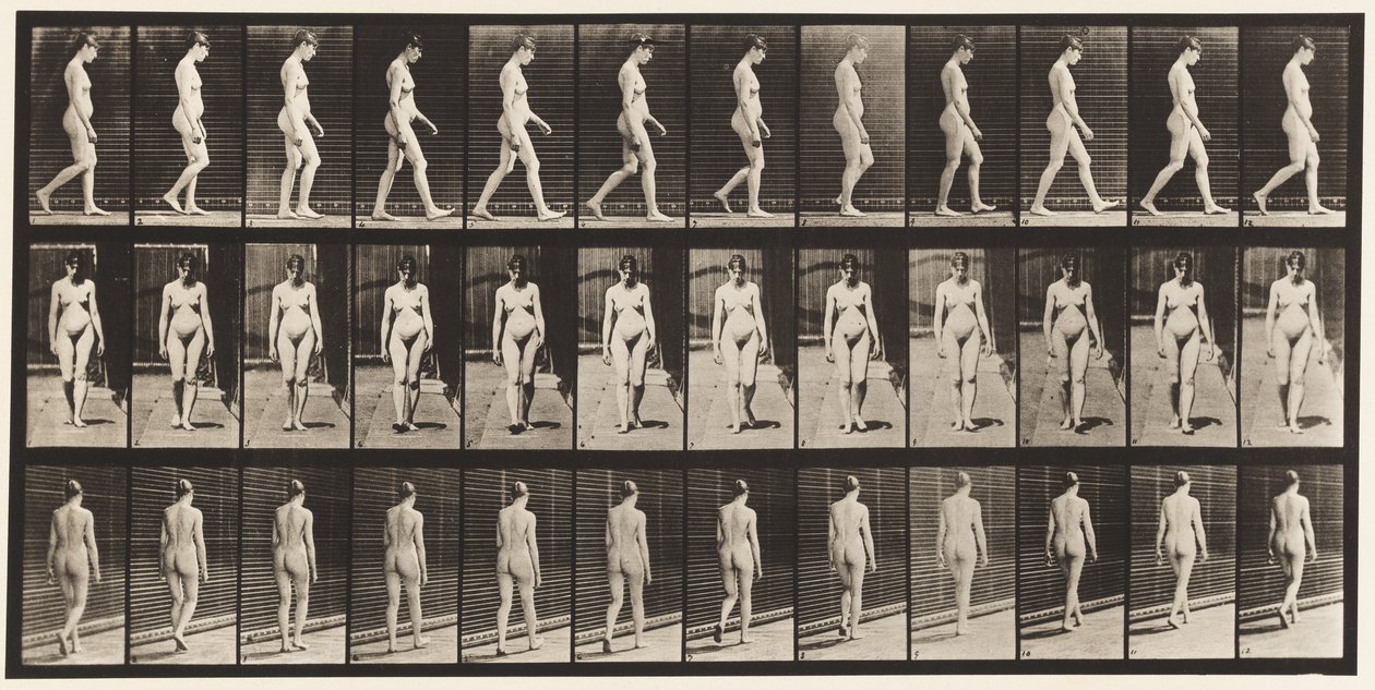 Tafel 13. Gehen, 1872-1885 von Eadweard Muybridge