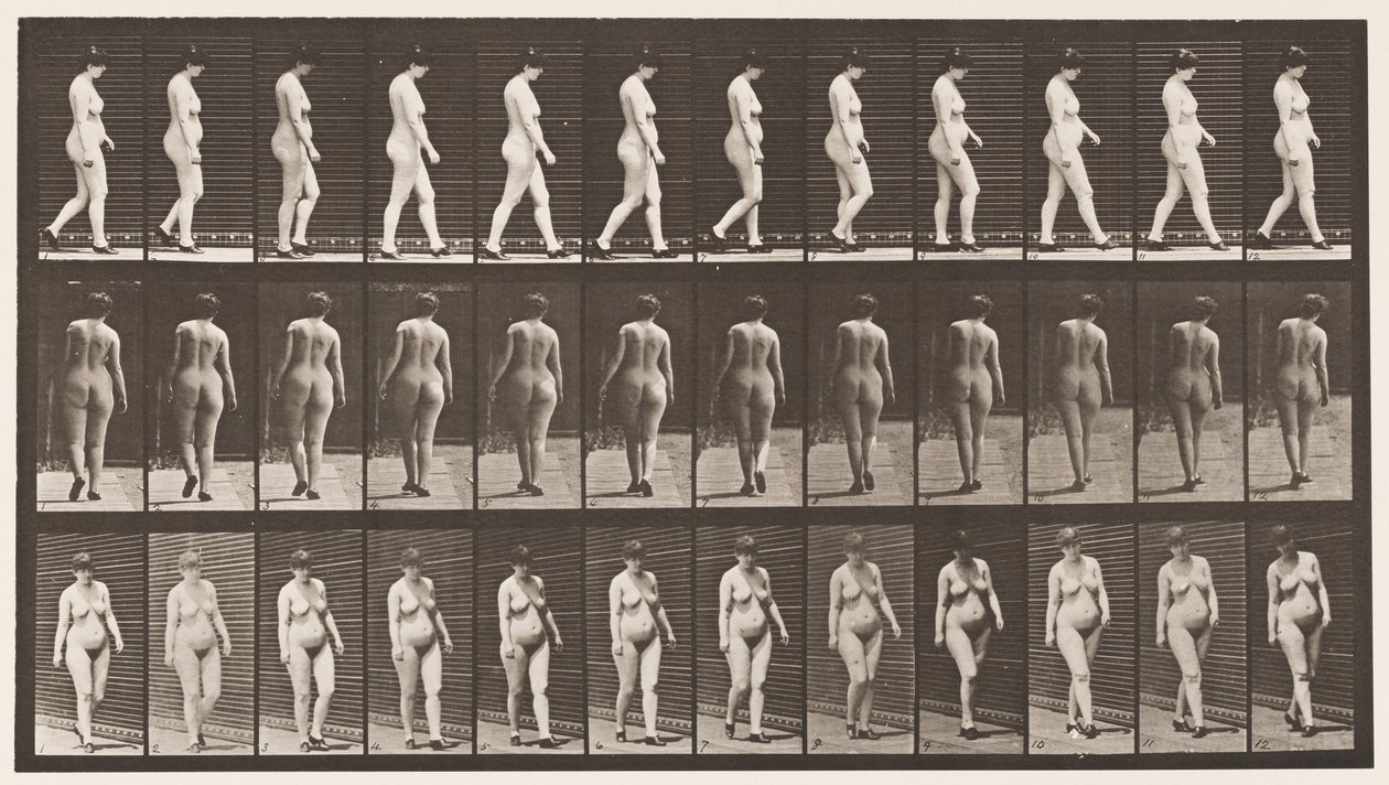 Tafel 24. Gehen, mit hochhackigen Schuhen von Eadweard Muybridge