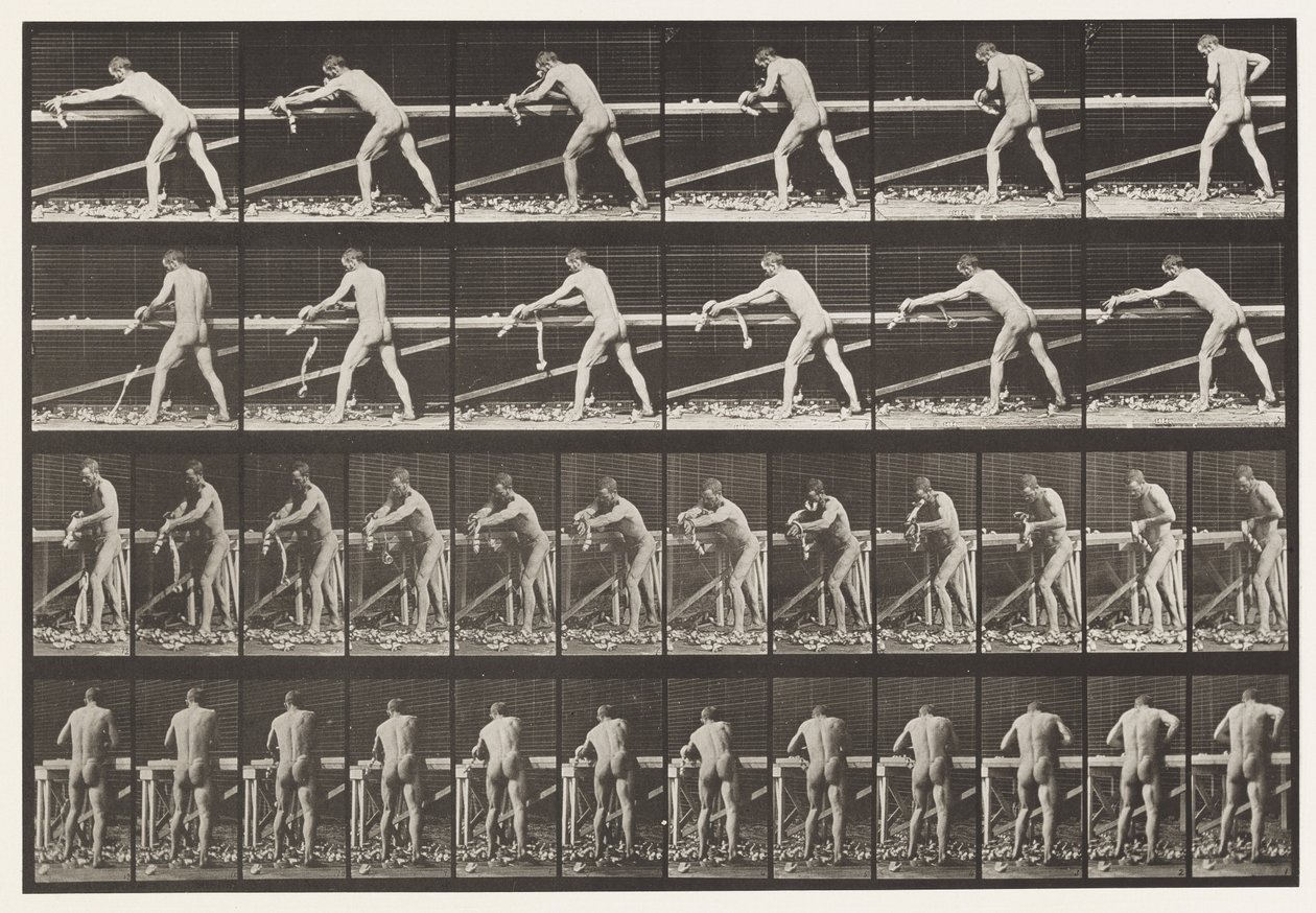 Tafel 379. Zimmermann, ein Brett hobeln, 1872-1885 von Eadweard Muybridge