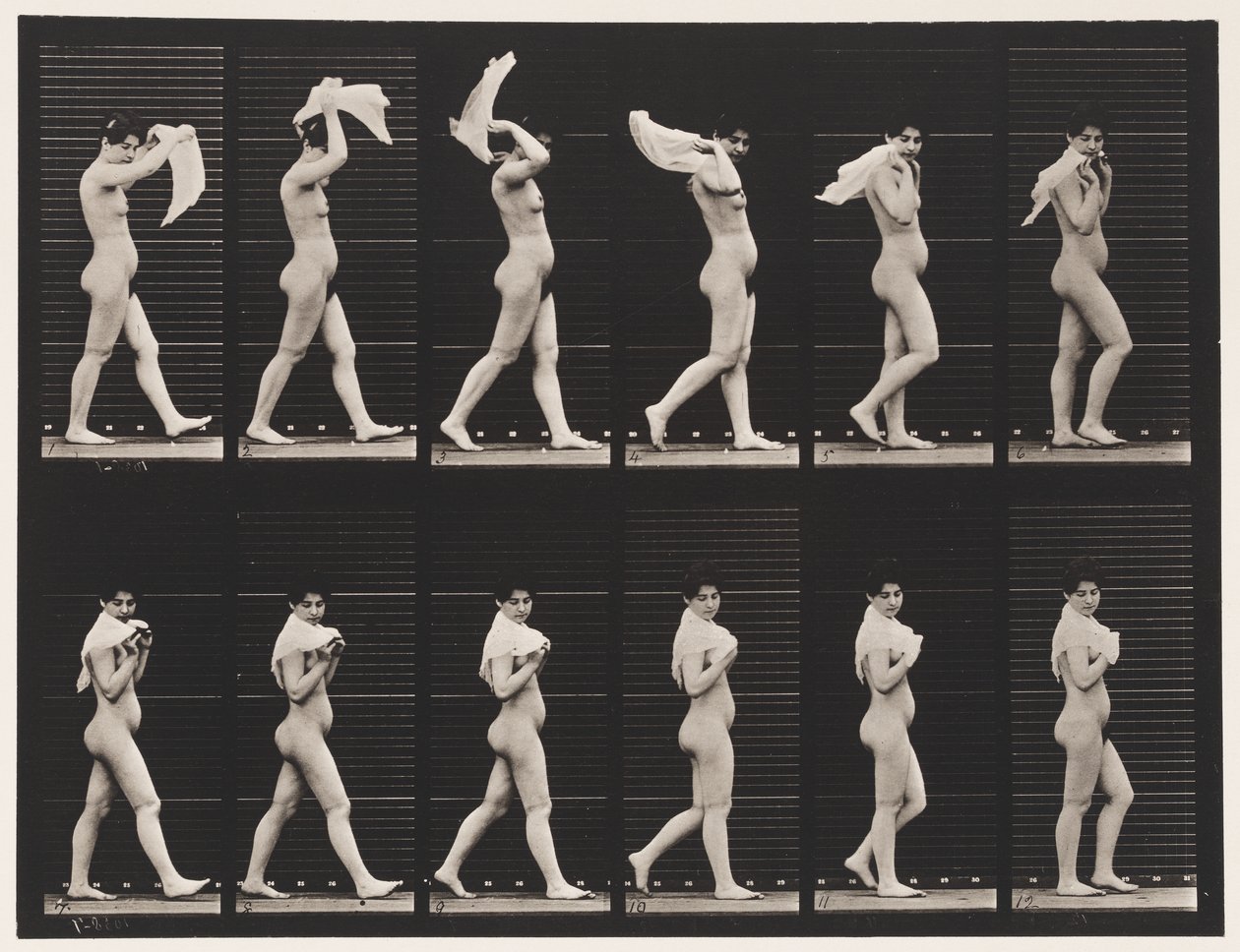 Tafel 40. Gehen, Taschentuch über die Schultern werfen von Eadweard Muybridge