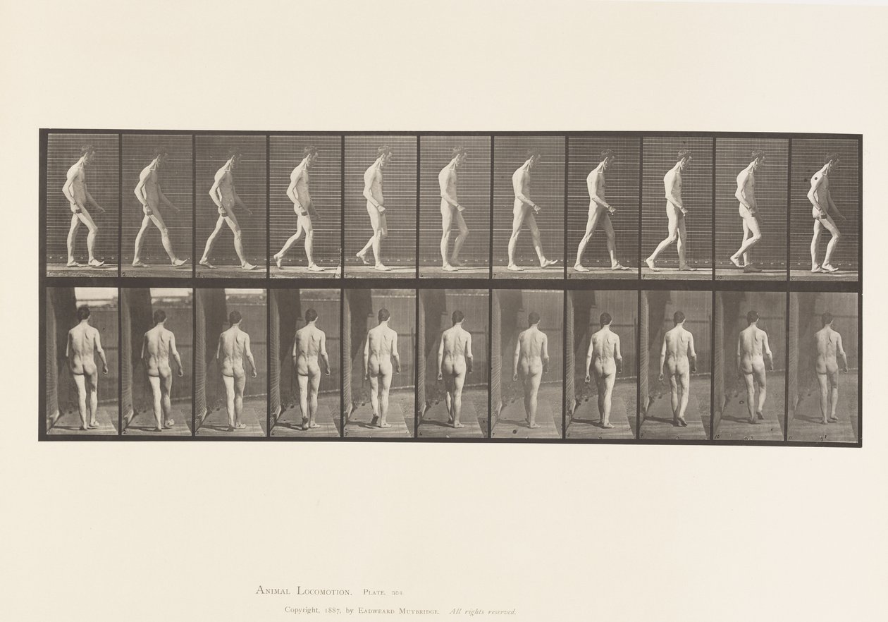 Lokomotorische Ataxie; Gehen von Eadweard Muybridge