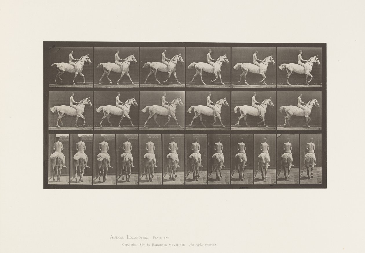 Tafel 602. Traben; Ohne Sattel; Reiter, 43, nackt; Hellgraues Pferd Smith, 1885 von Eadweard Muybridge