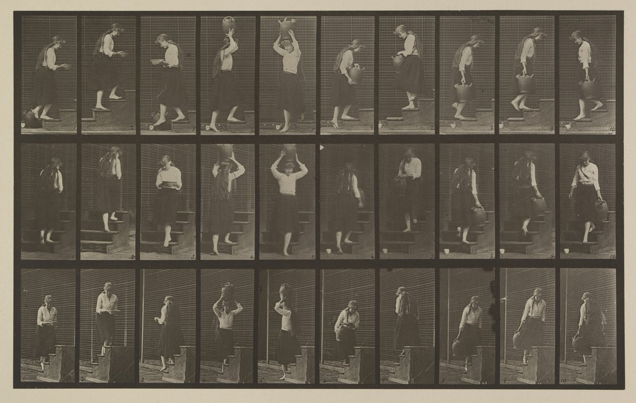 Tafel Nummer 504. Auf- und absteigende Treppen von Eadweard Muybridge