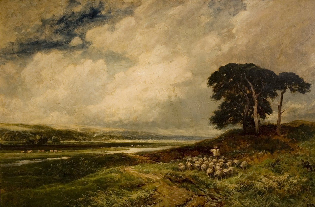 Landschaft mit Schafen von Edmund Morison Wimperis