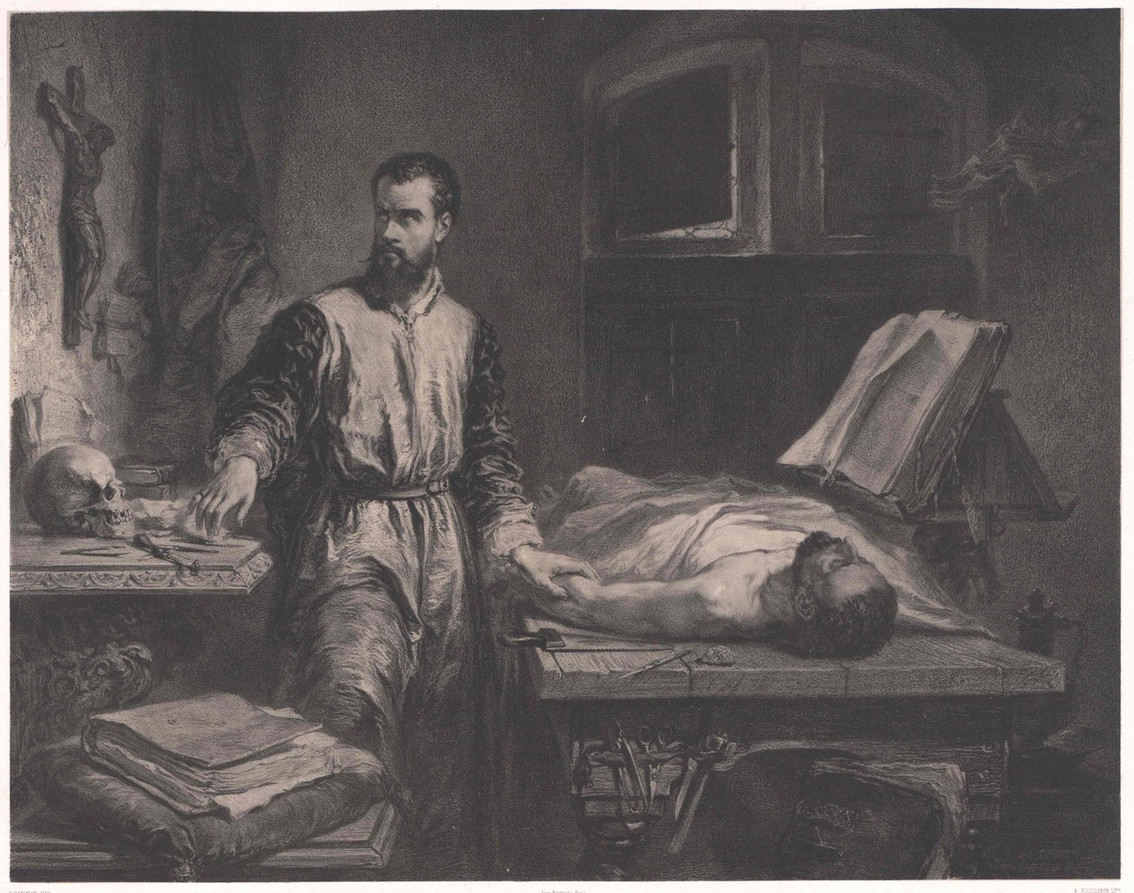 Andreas Vesalius von Edouard Jean Conrad (after) Hamman