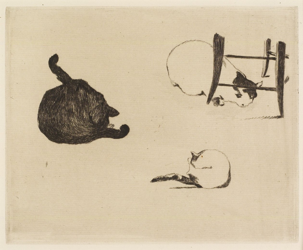 Die Katzen, 1869 von Édouard Manet
