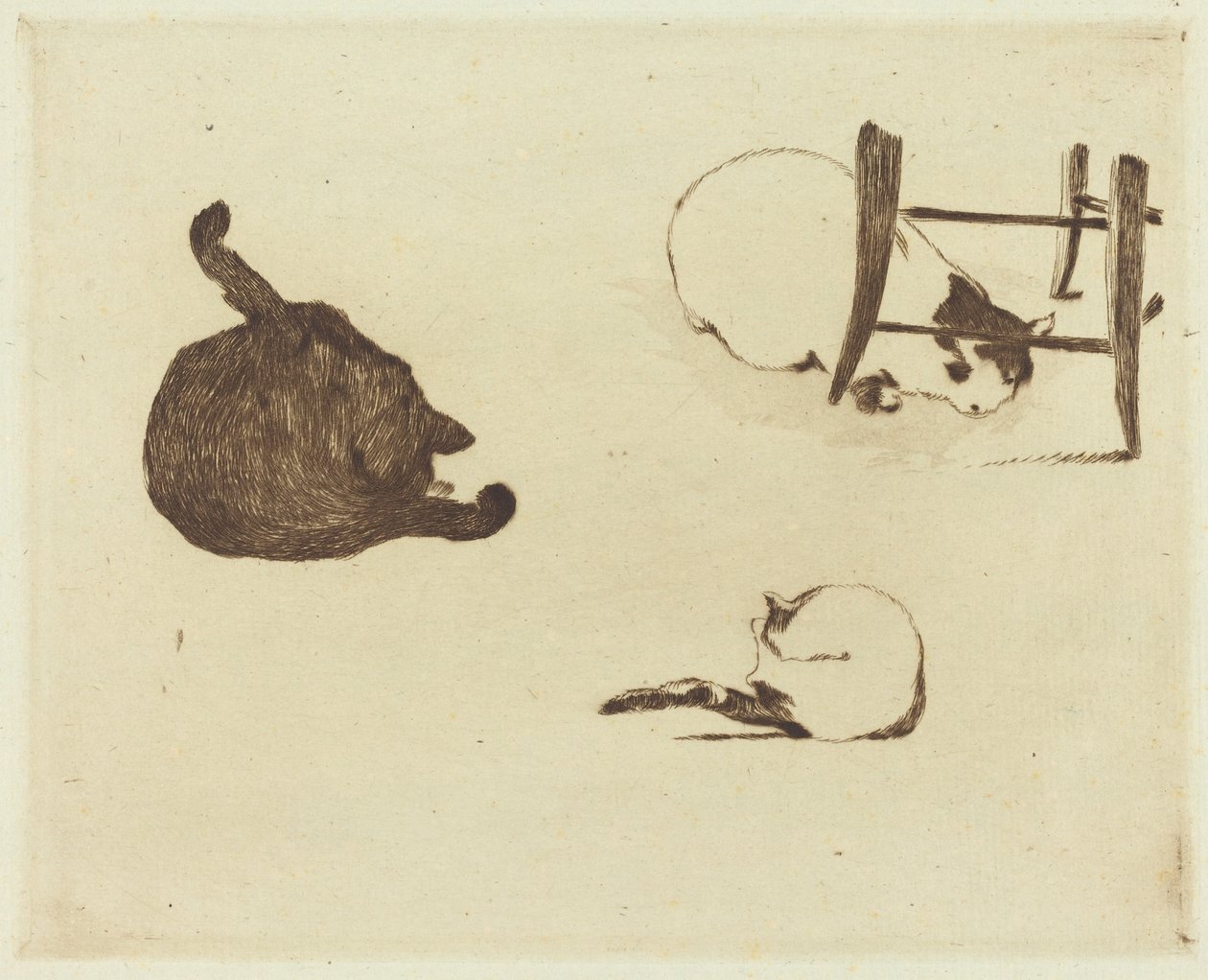 Die Katzen, 1869 von Édouard Manet