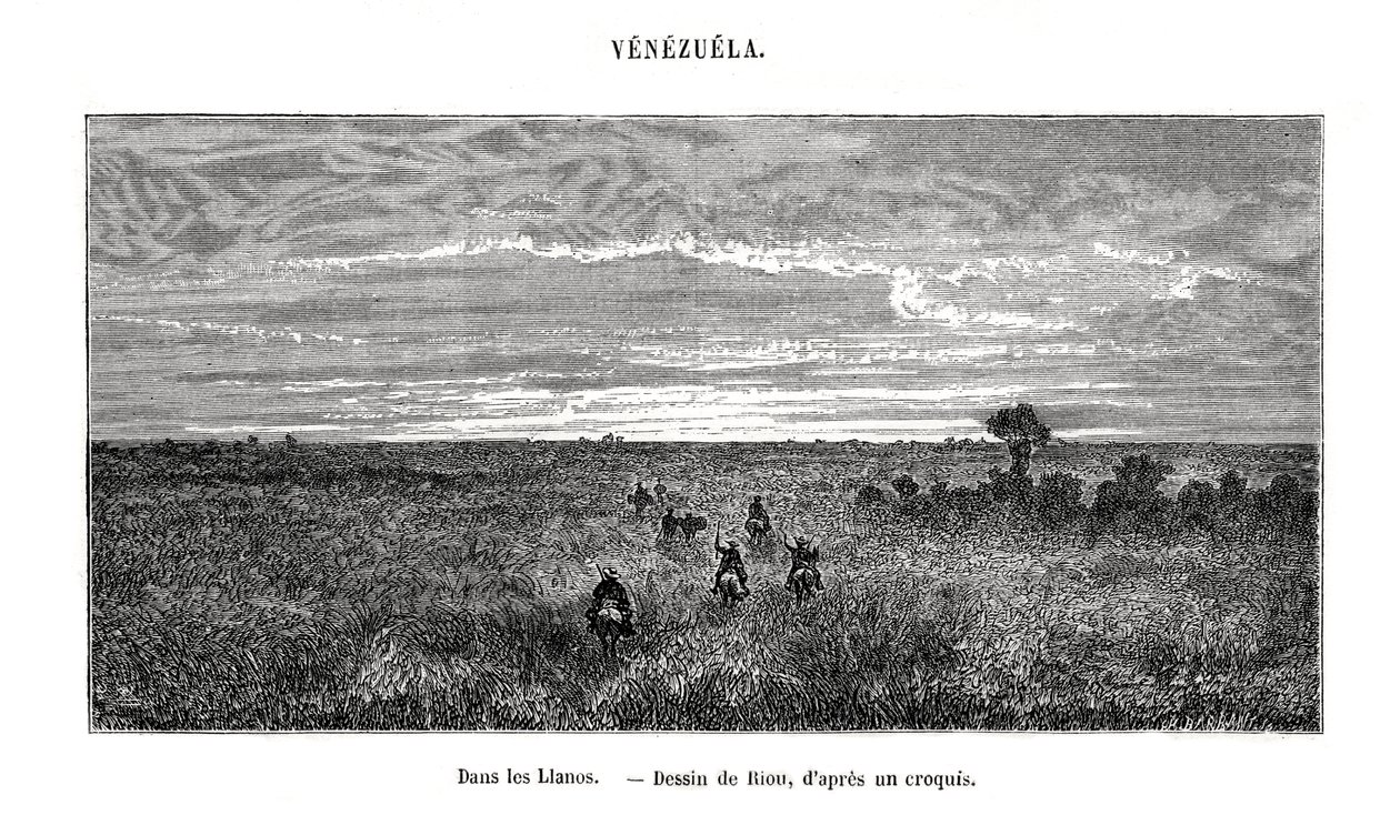 Los Llanos, Venezuela, 19. Jahrhundert von Edouard Riou