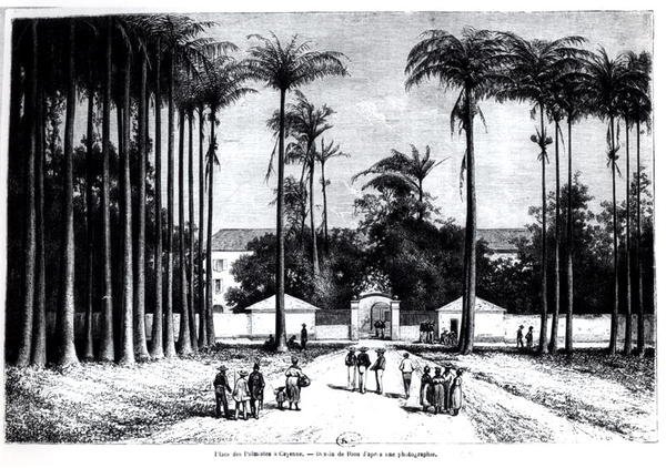 Place des Palmistes, Cayenne, Guyana von Edouard Riou