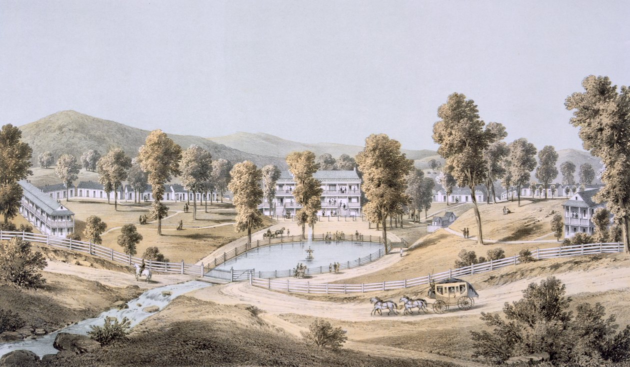 Yellow Sulphur Springs, Montgomery County, 1858 von Edward Beyer