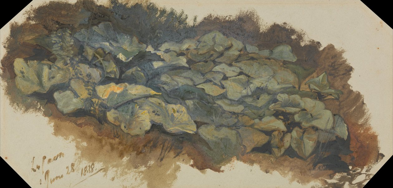 La Cava von Edward Lear