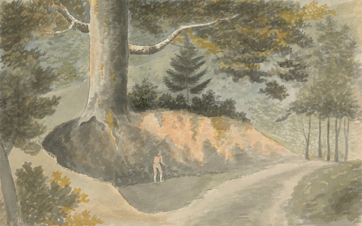 Weg im Wald von Edward Francis Burney