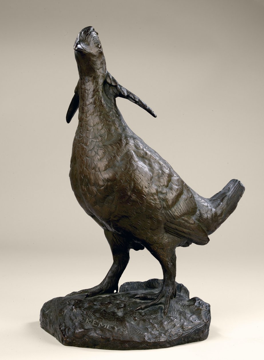 Präriehuhn von Edward Kemeys