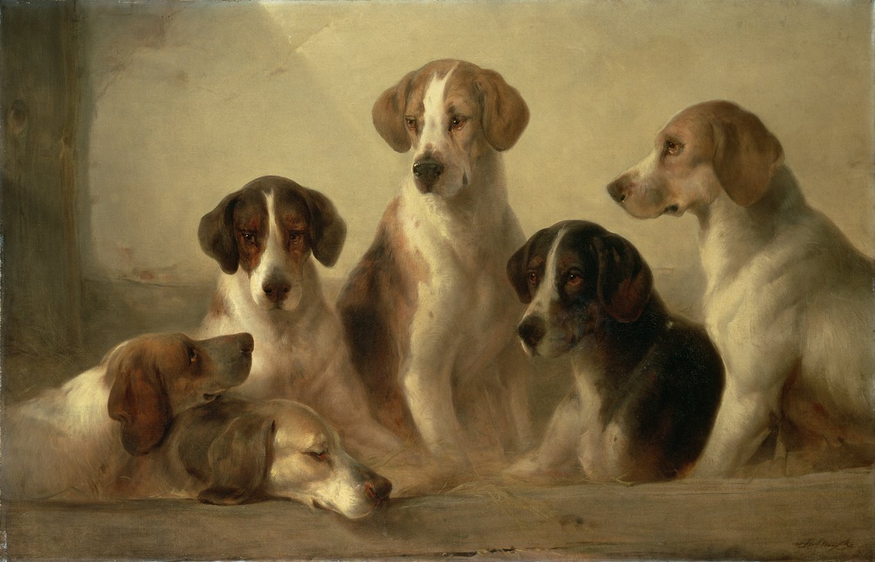 Hunde von Edward Robert Smythe
