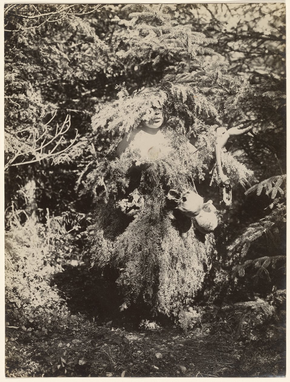 [Geistertänzer - Kwakiutl] von Edward S. Curtis