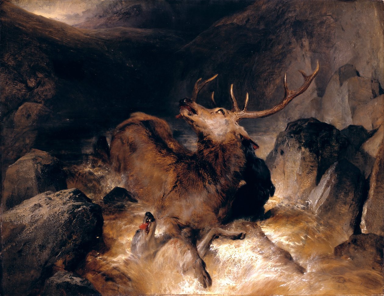 Hirsche und Hirschhunde in einem Gebirgsbach von Edwin Landseer