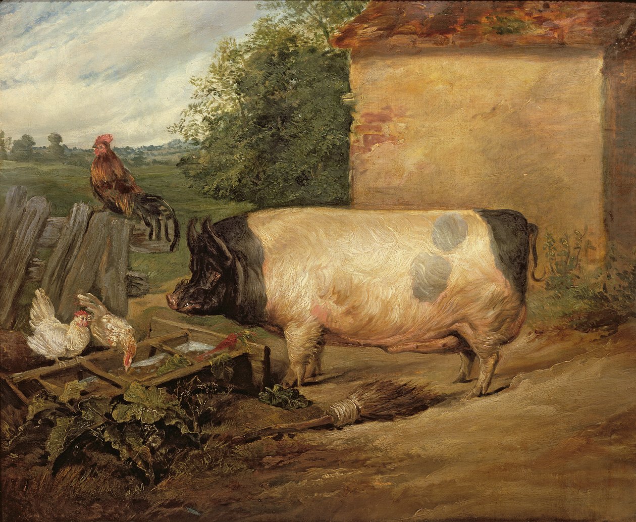 Porträt eines preisgekrönten Schweins, Eigentum von Squire Weston aus Essex, 1810 von Edwin Landseer