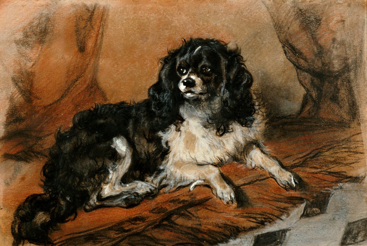 Ein King Charles Spaniel von Edwin Landseer