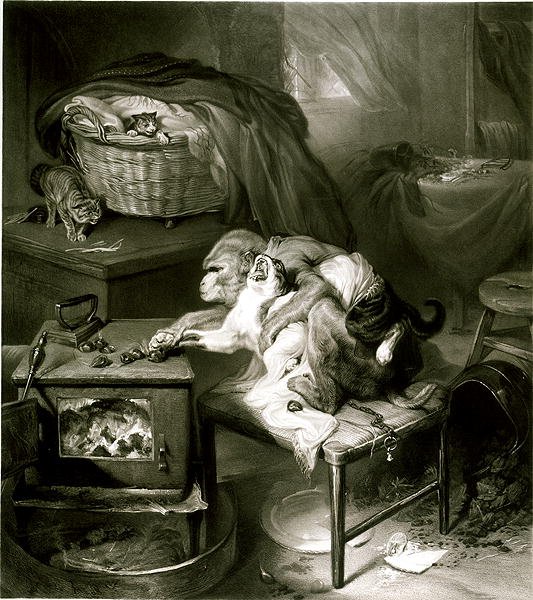 Die Katzenpfote von Edwin Landseer