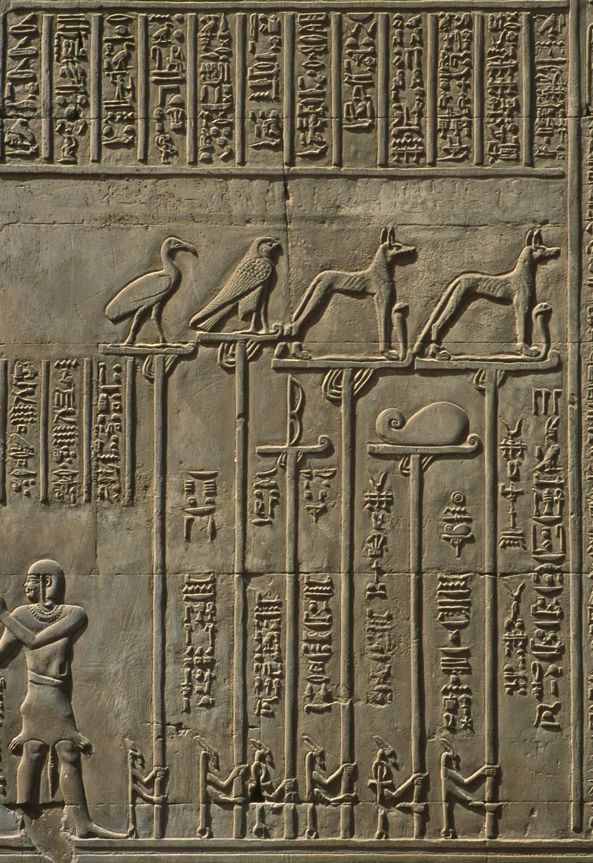 Detail eines Reliefs von Egyptian